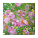 Search for candy tiles Floral