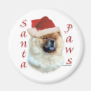 Search for owner magnets Black