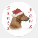 Search for pinscher stickers Animals