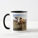 Search for discovery mugs Freedom