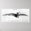 Search for avion posters Aviation