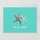 Search for two starfish Turquoise