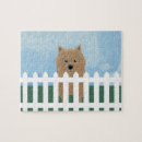 Search for norwich terrier Animals