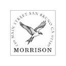 Search for conservationists Bird