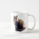 Search for tortoiseshell cat mugs Pet