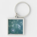 Search for jellyfish key rings Animals