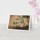 Search for olive tree cards Mediterranean