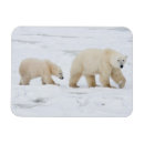 Search for danita delimont cards Churchill