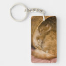 Search for cat basket key rings Cute