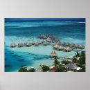 Search for danita delimont posters Colour image