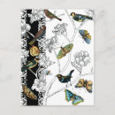 Search for animal designs postcards Bird