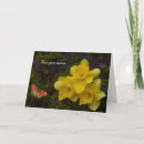 Search for daffodils mothers day cards Nature