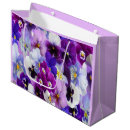 Search for blue pansy Pink