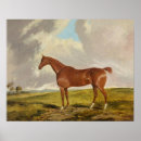 Search for talismans posters Nature