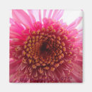 Search for beams magnets Beautiful