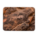 Search for desolate magnets Arizona