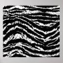 Search for white zebra posters Abstract