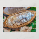 Search for seed pod postcards Fruit