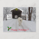 Search for samoyed dog postcards Dogs