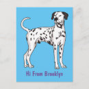 Search for spotty postcards Cartoon