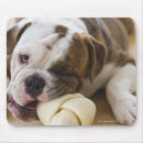 Search for new jersey mouse mats Usa