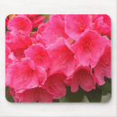 Search for puget mouse mats Magnolia