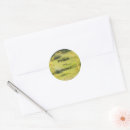 Search for overlay stickers Minimalist