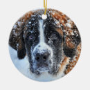 Search for saint bernard dog christmas tree decorations Snow