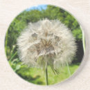 Search for beard barware Flower