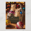 Search for box christmas invitations Animal