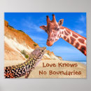 Search for funny lizard posters Humour