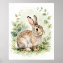 Search for bunny art Nature