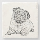 Search for pug coasters Pets