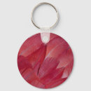 Search for african grey key rings Wildlife