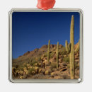 Search for tucson christmas tree decorations Cactus
