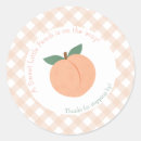 Search for peachy stickers Summer
