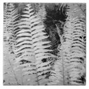 Search for fern tiles Black and white