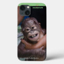 Search for baby orangutan iphone cases Orangutans