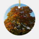 Search for russian christmas tree decorations Country