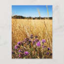 Search for thistles postcards Summer
