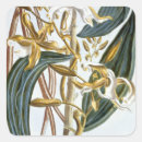 Search for 65 stickers Botanical
