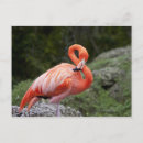 Search for 3 day horizontal postcards Usa