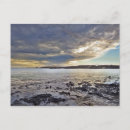 Search for featuring postcards Usa