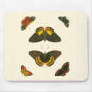 Search for butterfly mouse mats White
