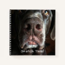 Search for noses photography Dog