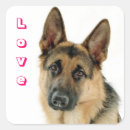 Search for german shepherd stickers Puppy