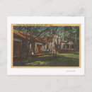 Search for big tree horizontal postcards Park