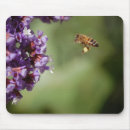 Search for pollen mouse mats Nature