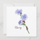 Search for edibility cards Edible flowers