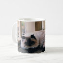 Search for himalayan cat mugs Cats